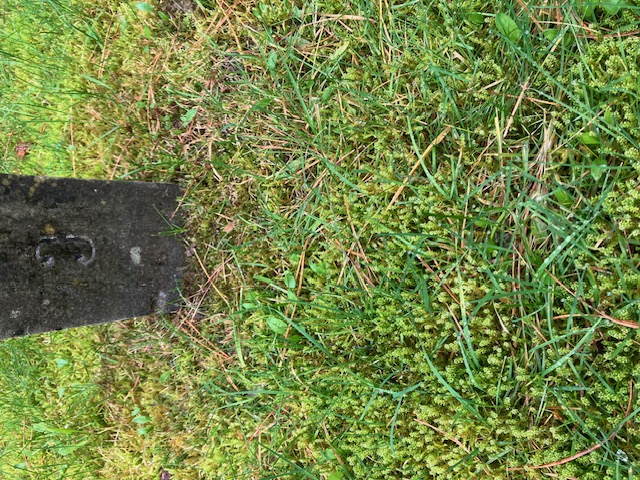 31 mei 1967, babylijkje, Ermelo